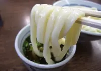 長田うどんの写真・動画_image_42209