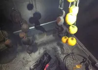 川端屋の写真・動画_image_42448