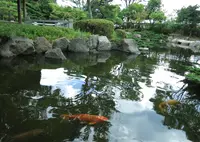 県立大磯城山公園の写真・動画_image_43492
