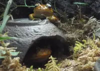 仙台うみの杜水族館の写真・動画_image_44035