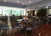 museum terraceの写真・動画_image_45570