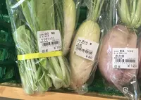 美菜恋来屋（みなこいこいや）の写真・動画_image_49038