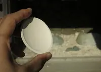 鎌倉宮の写真・動画_image_50424