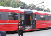 ボスの写真・動画_image_50577