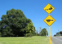 ハイド・パークの写真・動画_image_52497