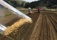 上野原市の写真・動画_image_52617