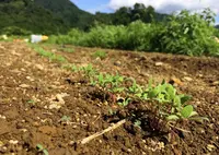 上野原市の写真・動画_image_52618