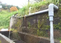 大渡水汲み場　道志村の写真・動画_image_52789
