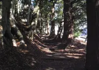 二百地蔵の写真・動画_image_55413