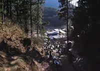 野生のわさびの写真・動画_image_55437