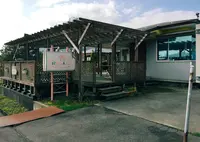 レガーロの写真・動画_image_56753