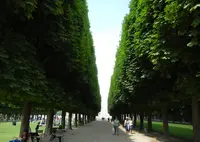 リュクサンブール公園の写真・動画_image_57486