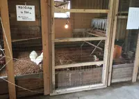 北坂養鶏場の写真・動画_image_58567