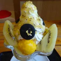 いちかわの写真・動画_image_602158