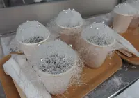 星野リゾート リゾナーレトマムの写真・動画_image_65961