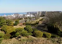 中央公園の写真・動画_image_67956