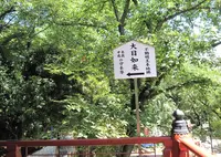 瀧泉寺（目黒不動）の写真・動画_image_69328