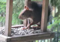 北天の丘 あばしり湖鶴雅リゾートの写真・動画_image_69352