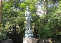 世田谷山観音寺の写真・動画_image_69852