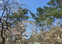 松下村塾の写真・動画_image_70418