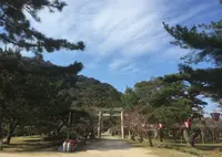 萩城跡指月公園の写真・動画_image_70429