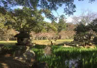 萩城跡指月公園の写真・動画_image_70435