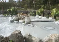 鬼石坊主地獄の写真・動画_image_70900