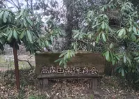 高森田楽保存会の写真・動画_image_71061