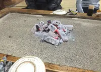 高森田楽保存会の写真・動画_image_71063