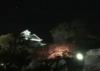 熊本城の写真・動画_image_71103