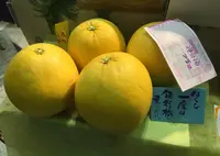 熊本空港（阿蘇くまもと空港）の写真・動画_image_71133