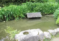 詩仙堂丈山寺の写真・動画_image_72263