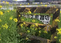 第2五之町踏切の写真・動画_image_72363