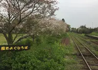 国吉駅の写真・動画_image_72365