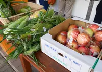 道の駅 どうしの写真・動画_image_73687