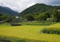 道の駅 どうしの写真・動画_image_73689