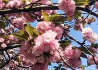 下目黒１丁目７−９の写真・動画_image_76800