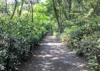 国立科学博物館附属自然教育園の写真・動画_image_76805