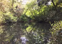 国立科学博物館附属自然教育園の写真・動画_image_76807