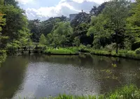 国立科学博物館附属自然教育園の写真・動画_image_76808