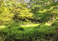 国立科学博物館附属自然教育園の写真・動画_image_76812