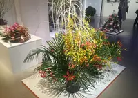 渋谷ヒカリエの写真・動画_image_77914