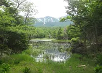 知床五湖の写真・動画_image_90226