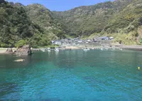 須崎の写真・動画_image_1092671