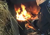久礼大正町市場の写真・動画_image_1092691