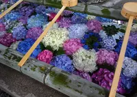 御裳神社の写真・動画_image_1130280