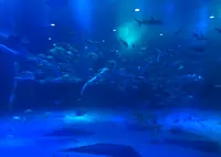のとじま水族館　の写真・動画_image_1172987
