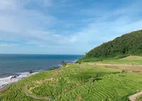 白米千枚田の写真・動画_image_1173008