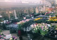 お花所 昌山園の写真・動画_image_124027