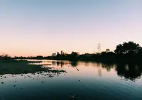 多摩川の写真・動画_image_125608